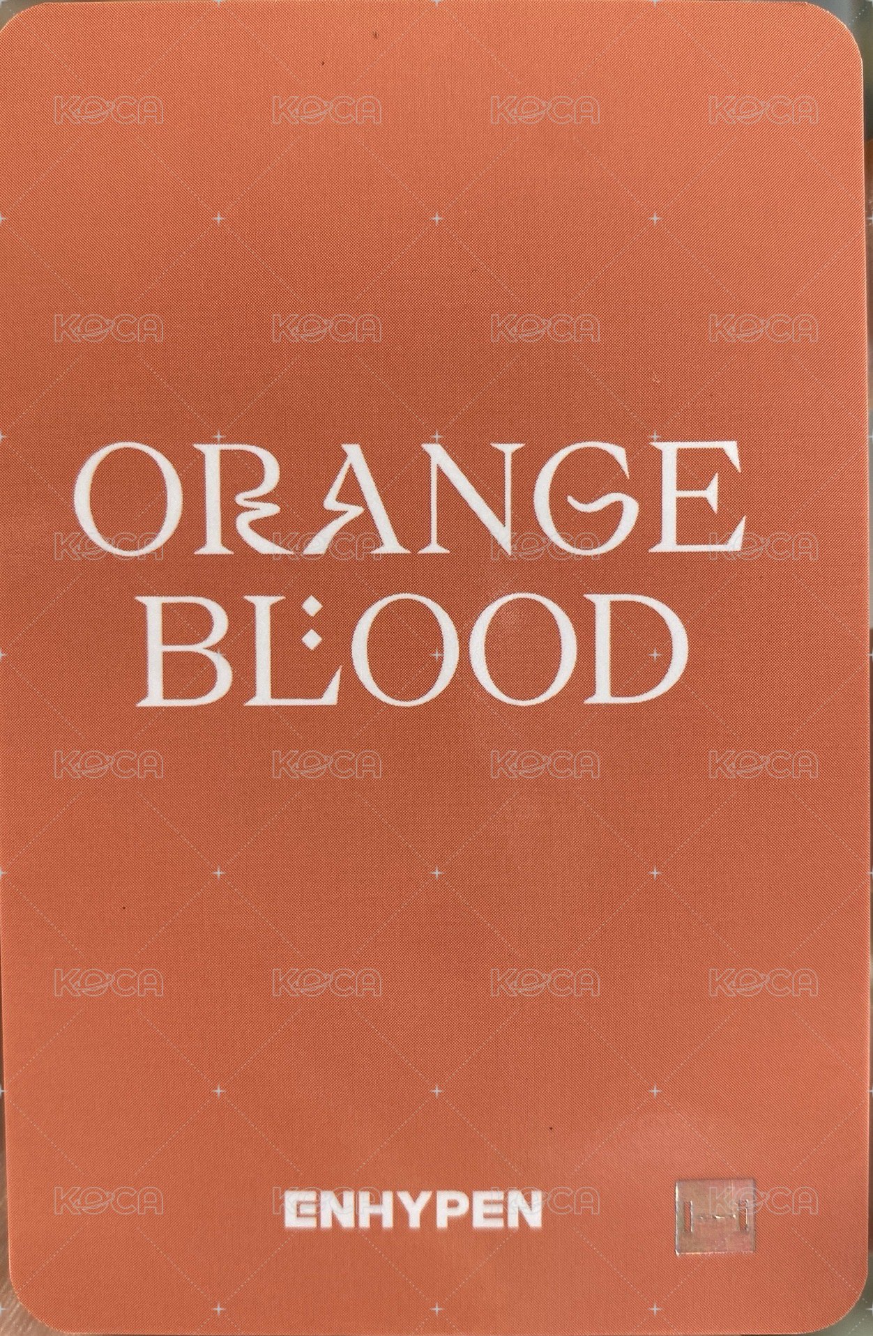 迷五 sw 1.0 特典卡  背面