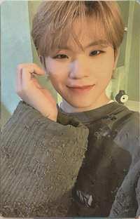 MINI9 專輯卡 CARAT ver.