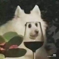 被冰塊燙傷