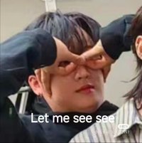 코알라