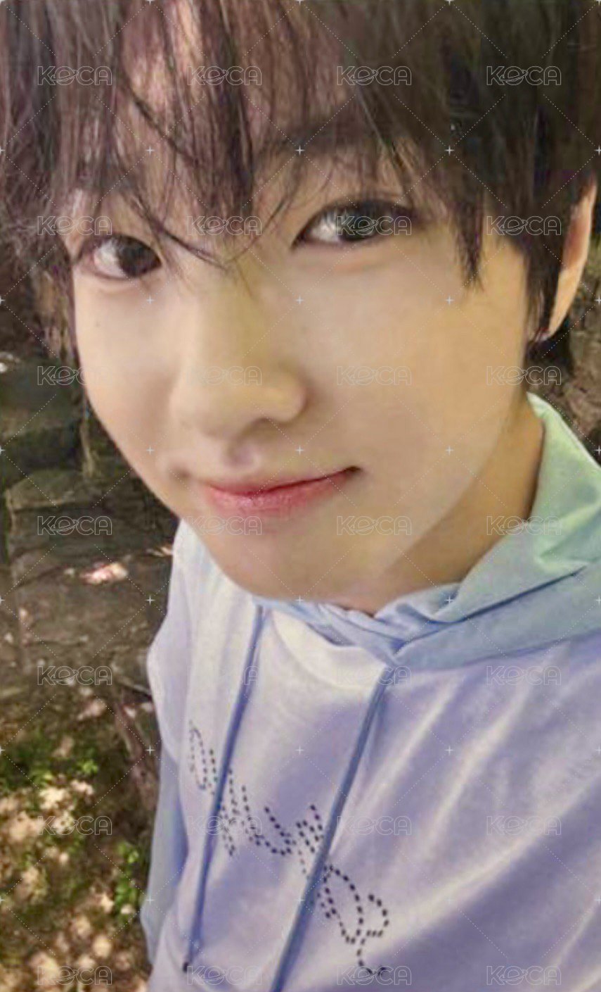 Songbird ia 預售 特典卡  正面