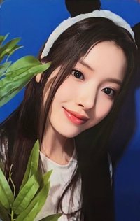 仲夏夜 el 3.0 幸運卡 熊貓竹葉