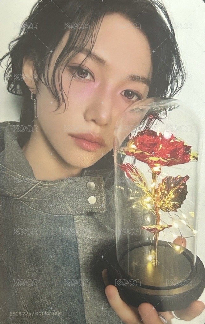 Hollow 專輯卡 FC盤 背面