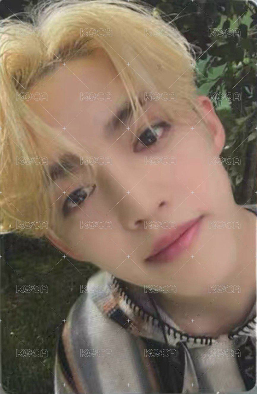 MINI11 專輯卡 ｜WVS電子專ver. 正面