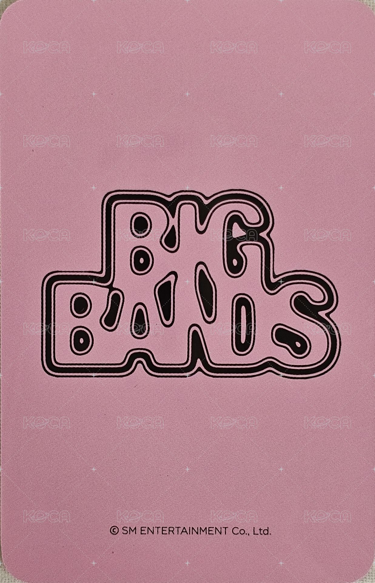 BIG BANDS ms 特典卡  背面