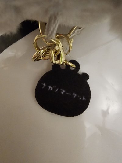 韓國限定彩虹熊 限定灰