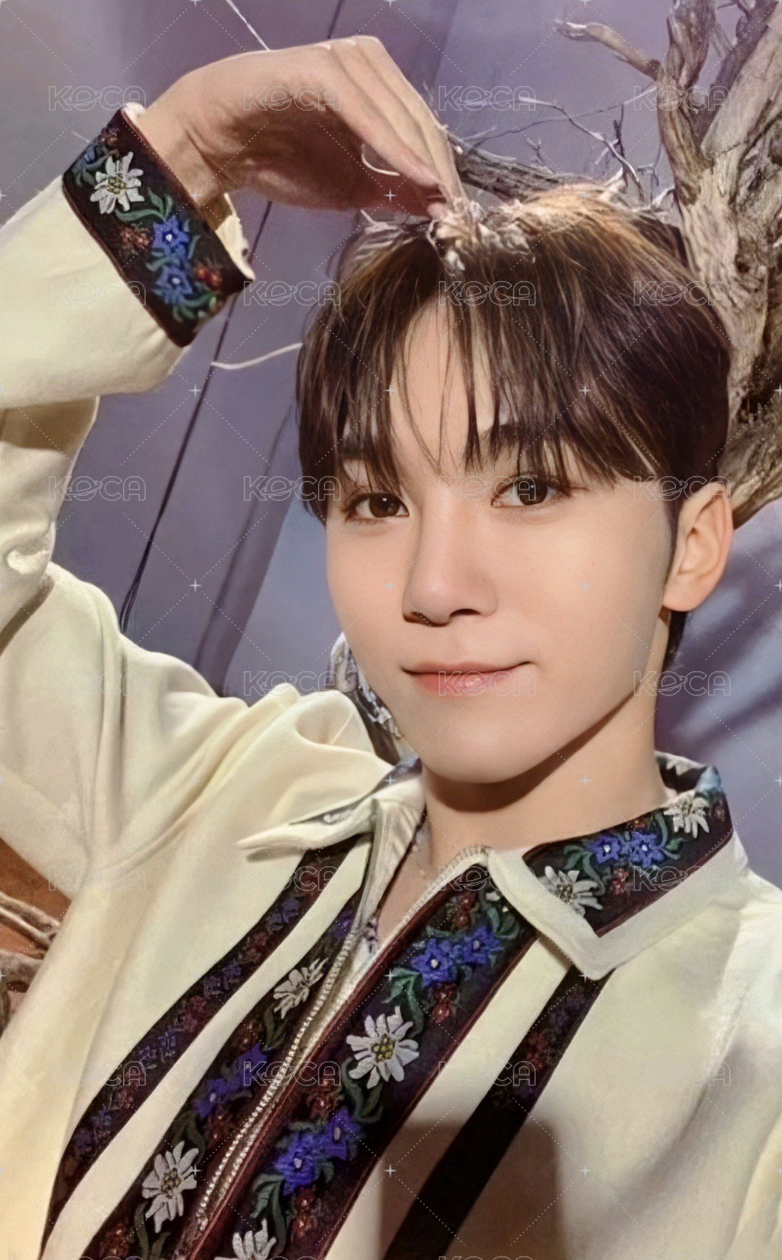 正四 wvs WVS/YES24 簽售卡  正面