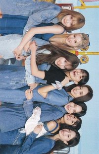 D’FESTA D社 周邊卡 團卡