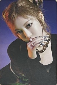 Savage 隨機卡 日本sc bus食物卡寧