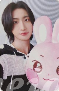 ANITEEZ IN ICE CITY 周邊卡 plush cushion