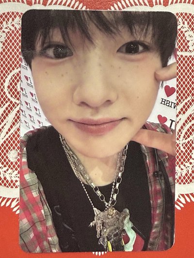 Steady sakuya 專輯卡