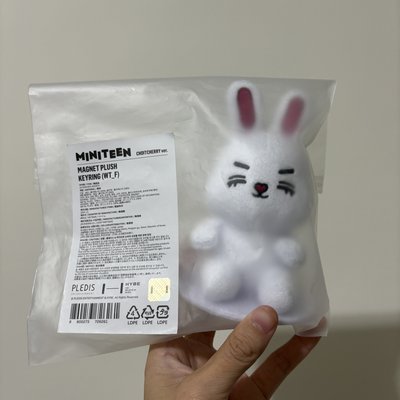 Miniteen一販 哲坐娃+圓雜誌特典