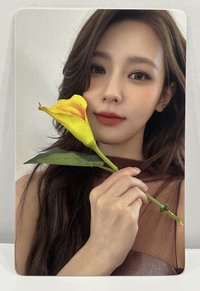 呈仕雜誌卡（中背）-拿花