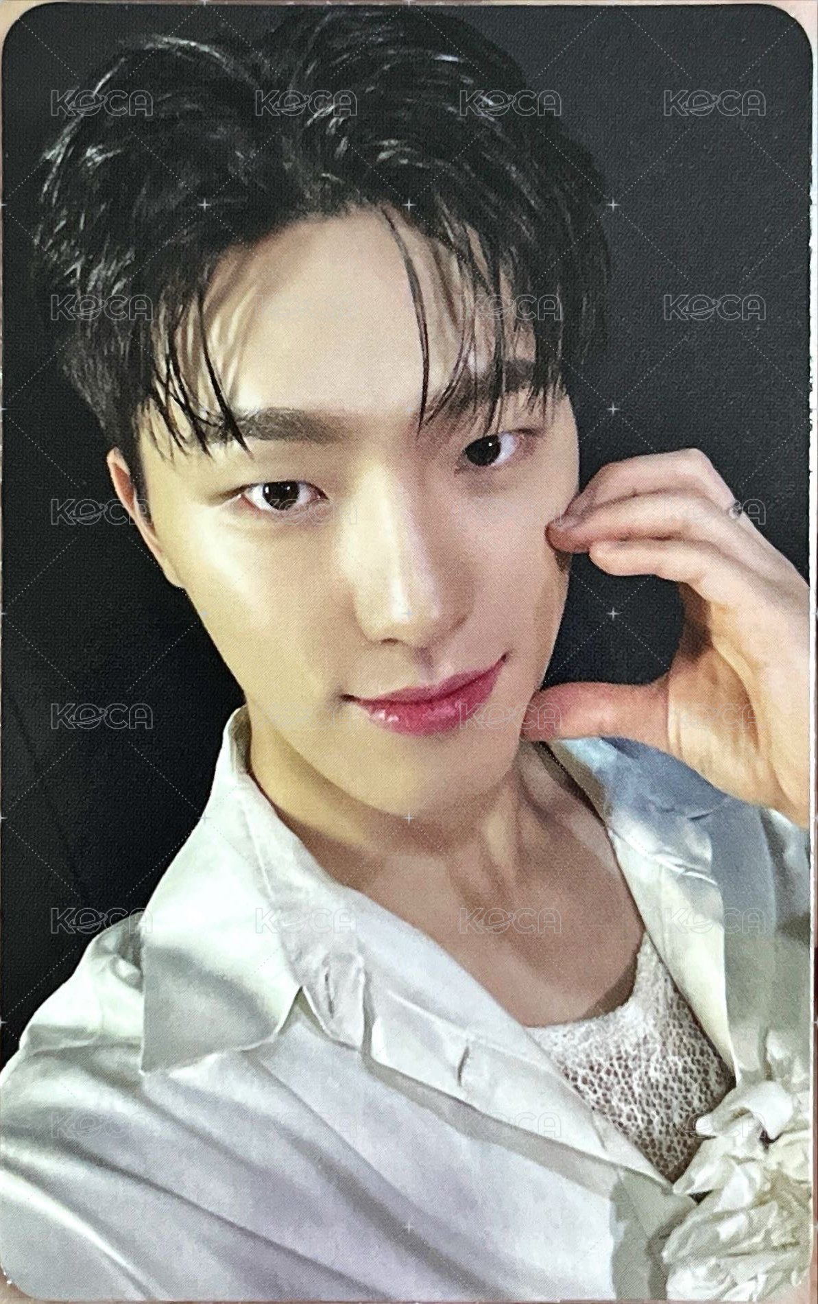 MINI12 wvs 藍版 專輯卡  正面