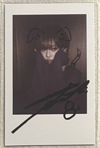 kms上海冬拍