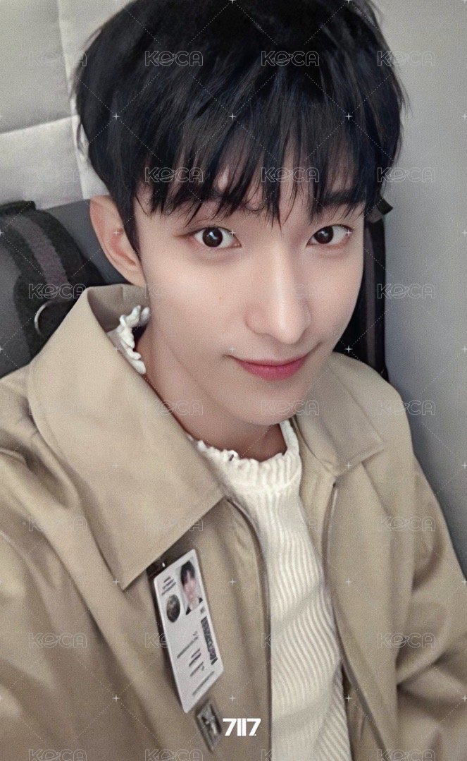 消費期限 wvs 愛知 入場卡 / 場限卡  正面