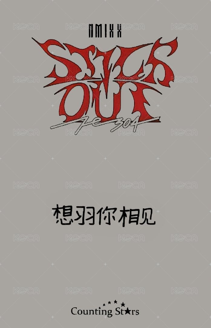 STICK OUT 數星星 簽售卡 數星星 新娘友 背面