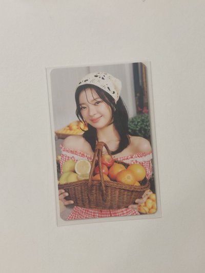 itzy 2025日本快閃 lia 小卡組