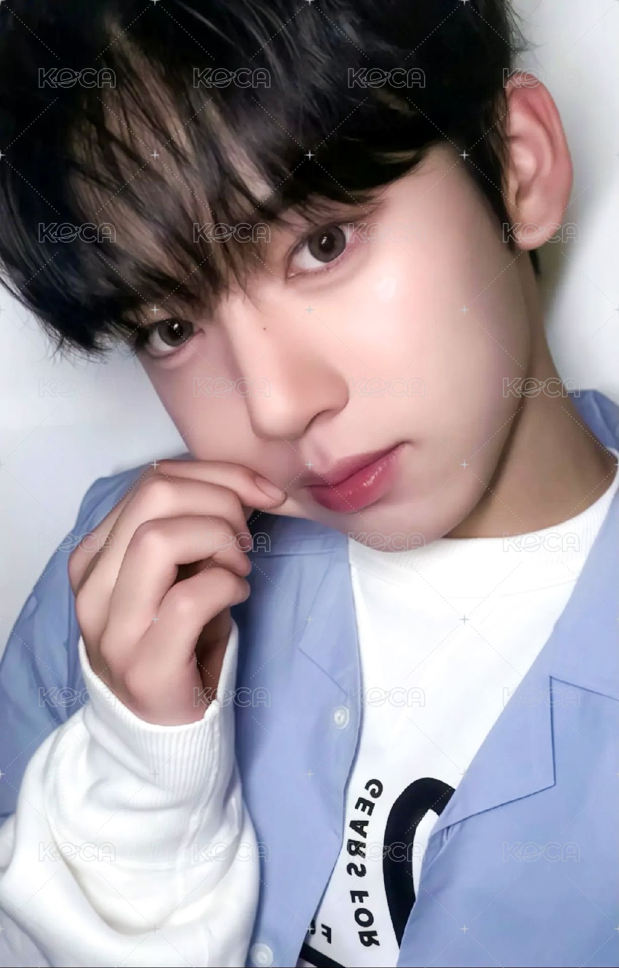 迷二 el 特典卡 捏臉 ver. 正面