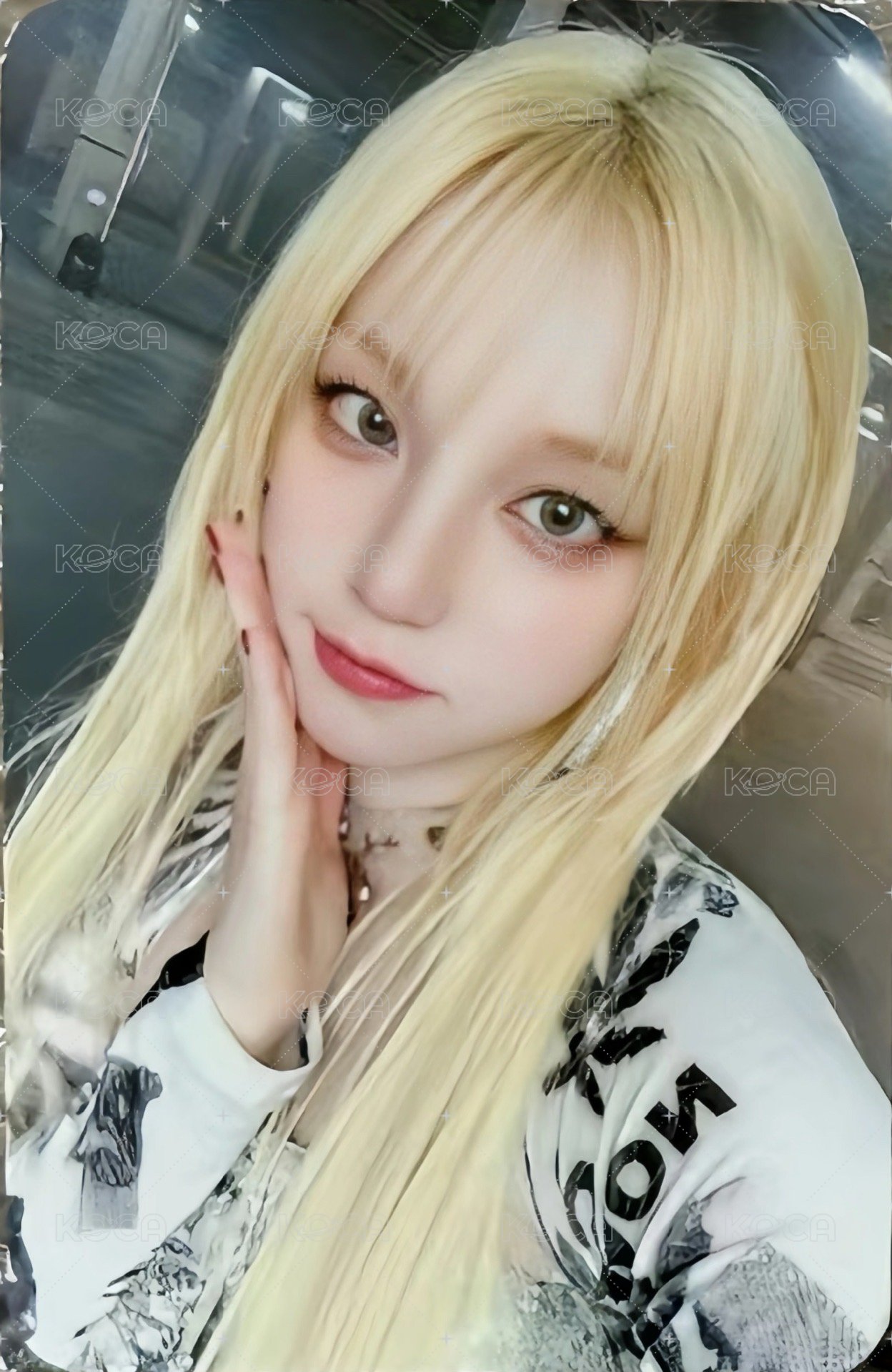 YUQ1 仙女樹 2.0 特典卡  正面