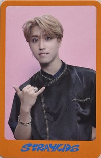 DICON D'FESTA 雜誌卡 