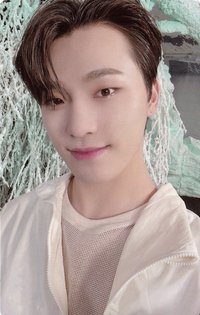 正四後續 專輯卡 正規四後續｜WVS電子專ver.