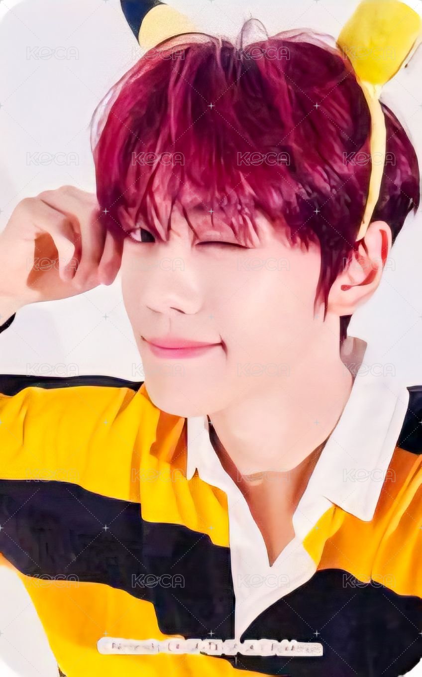 日專 專輯卡 動畫盤 ver. 正面