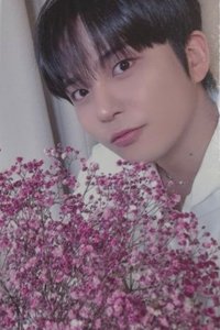 GH2 TOKTOQ 特典卡 