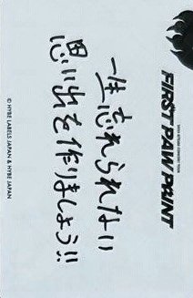 FPP 隨機卡 _1 背面