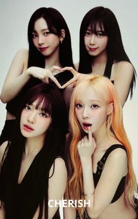 二巡 隨機卡 東蛋團