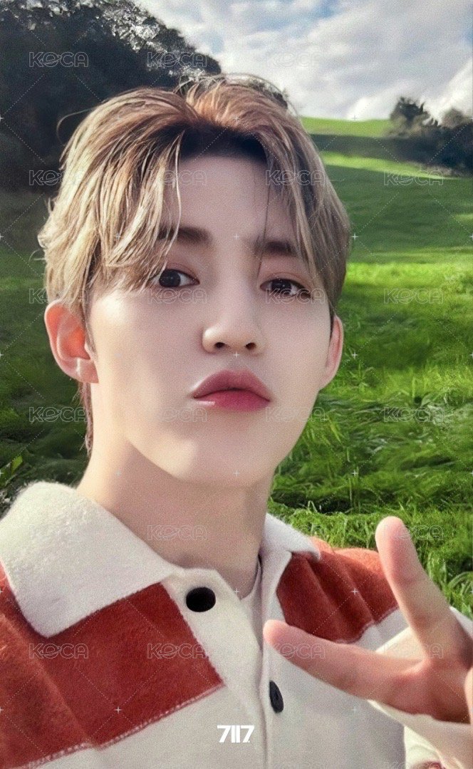 消費期限 wvs 愛知 入場卡 / 場限卡  正面