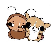 有沒有dbjj可以寵寵我