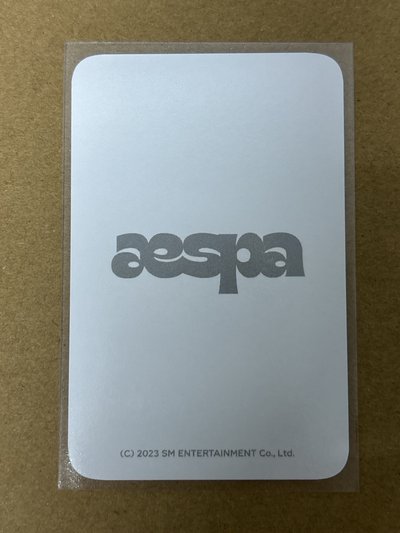 aespa Karina 柚子 ctmi 周邊卡 點點貼柚