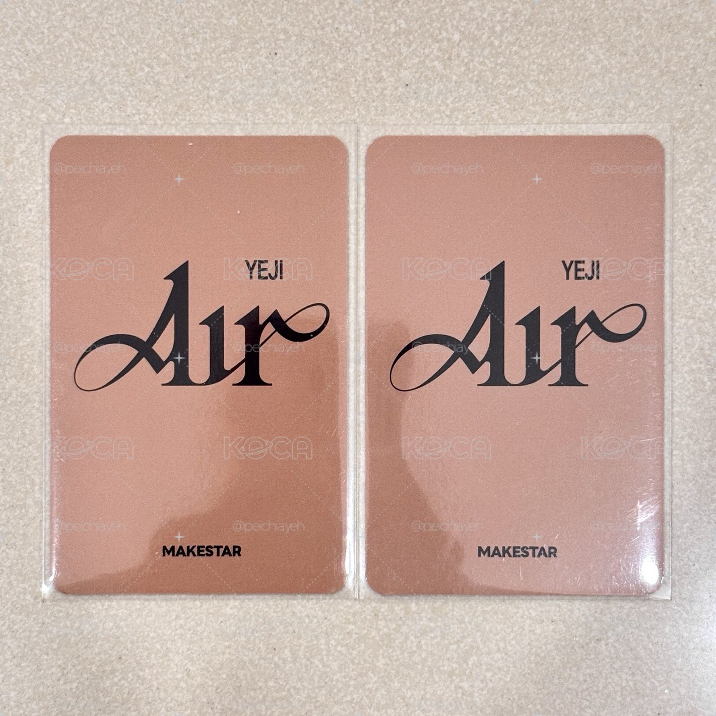 Ms1.0小狗志（Air簽售特典）