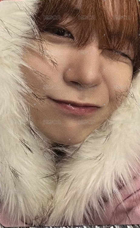 Color 專輯卡 預售禮 正面