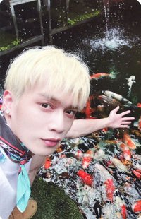 NEVER BEEN 隨機卡 