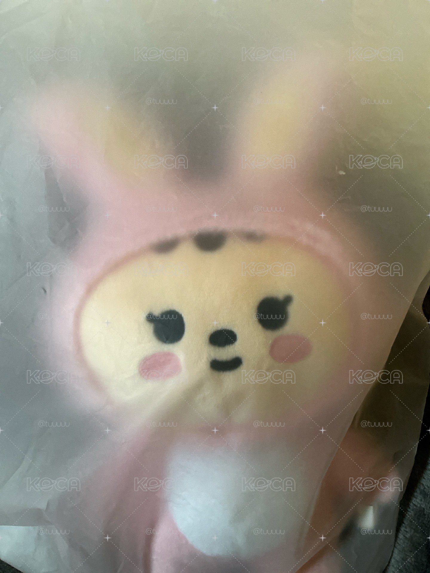 淨漢站娃