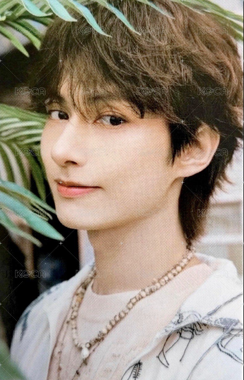 MINI12 周邊卡 卡冊卡 正面