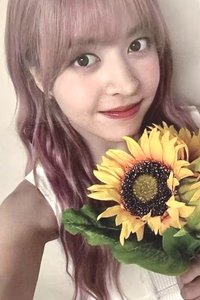 仲夏夜 sw 線上 3.0 簽售卡 向日葵