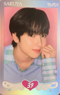 Steady 隨機卡 B版 閃卡