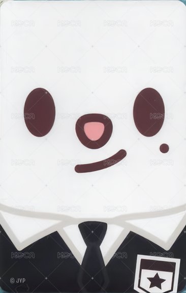 1st 日本巨蛋巡迴 周邊卡 卡套 背面