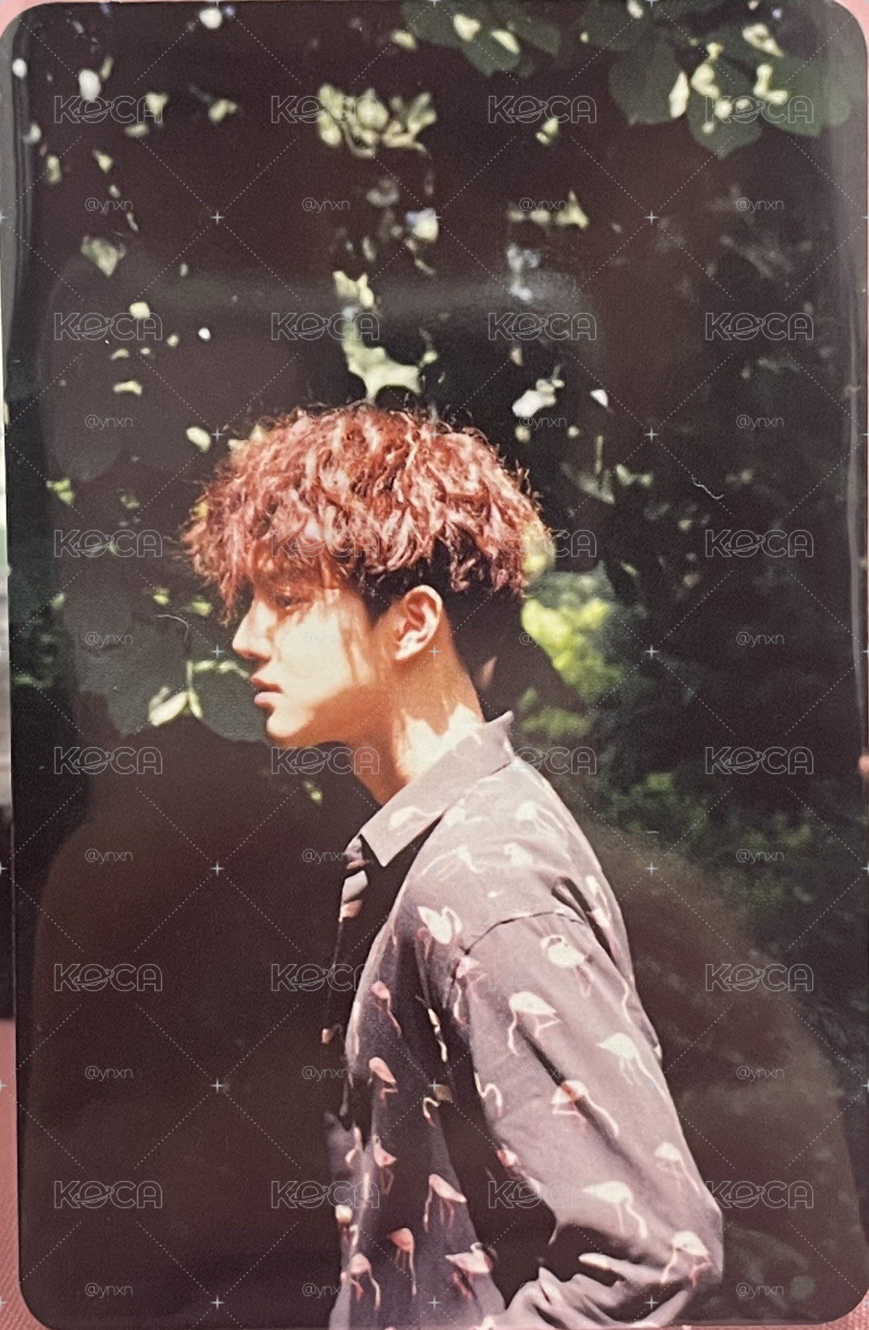 SUHO/金俊勉/Kokobop專卡