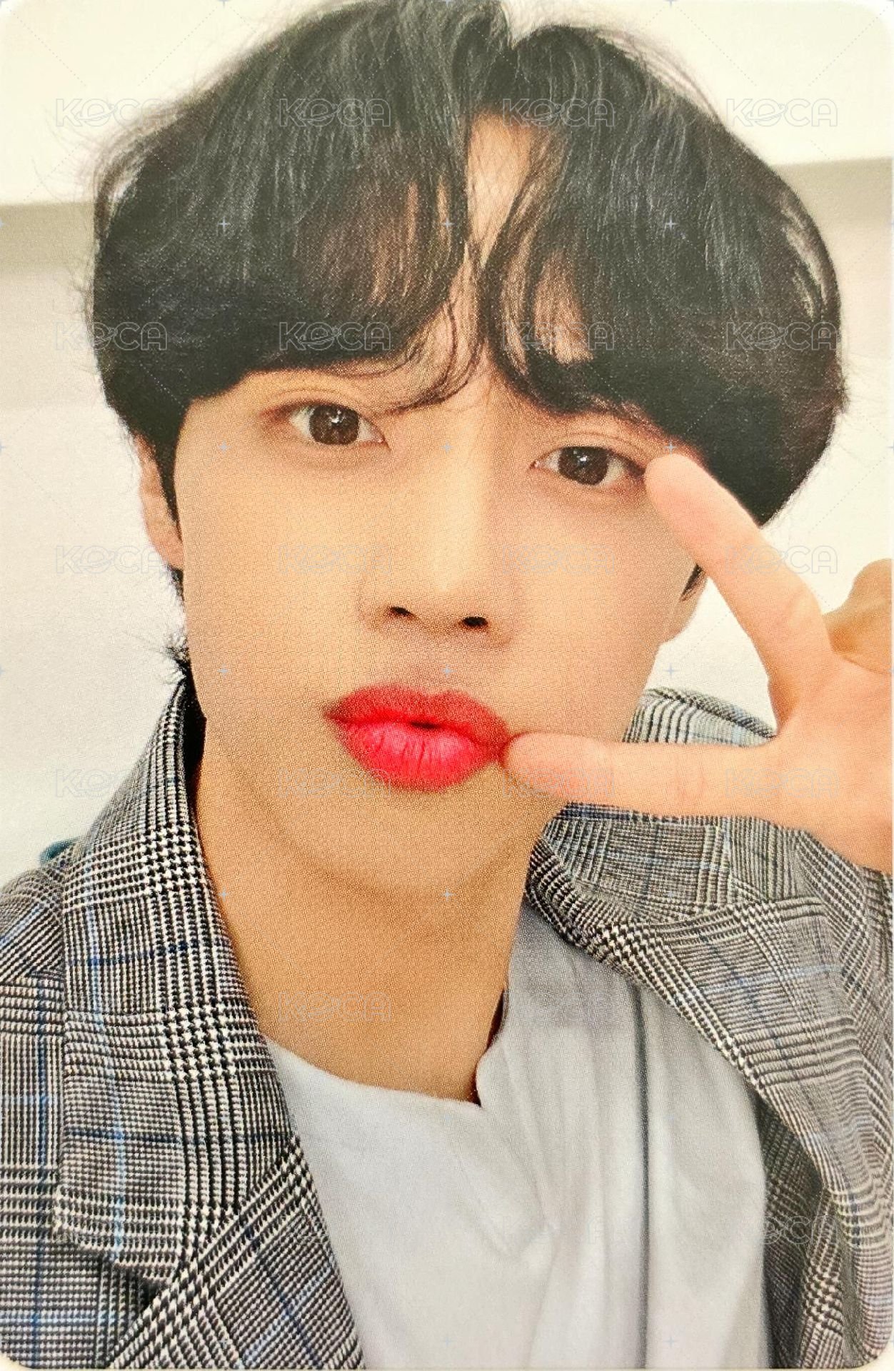 LAPOTHICELL oy 代言卡  正面