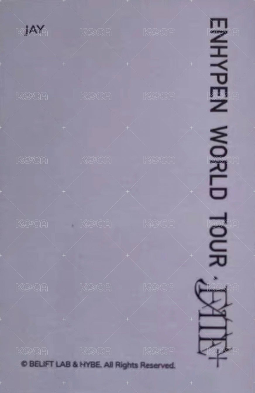 FATE+ 周邊卡 外套卡 背面