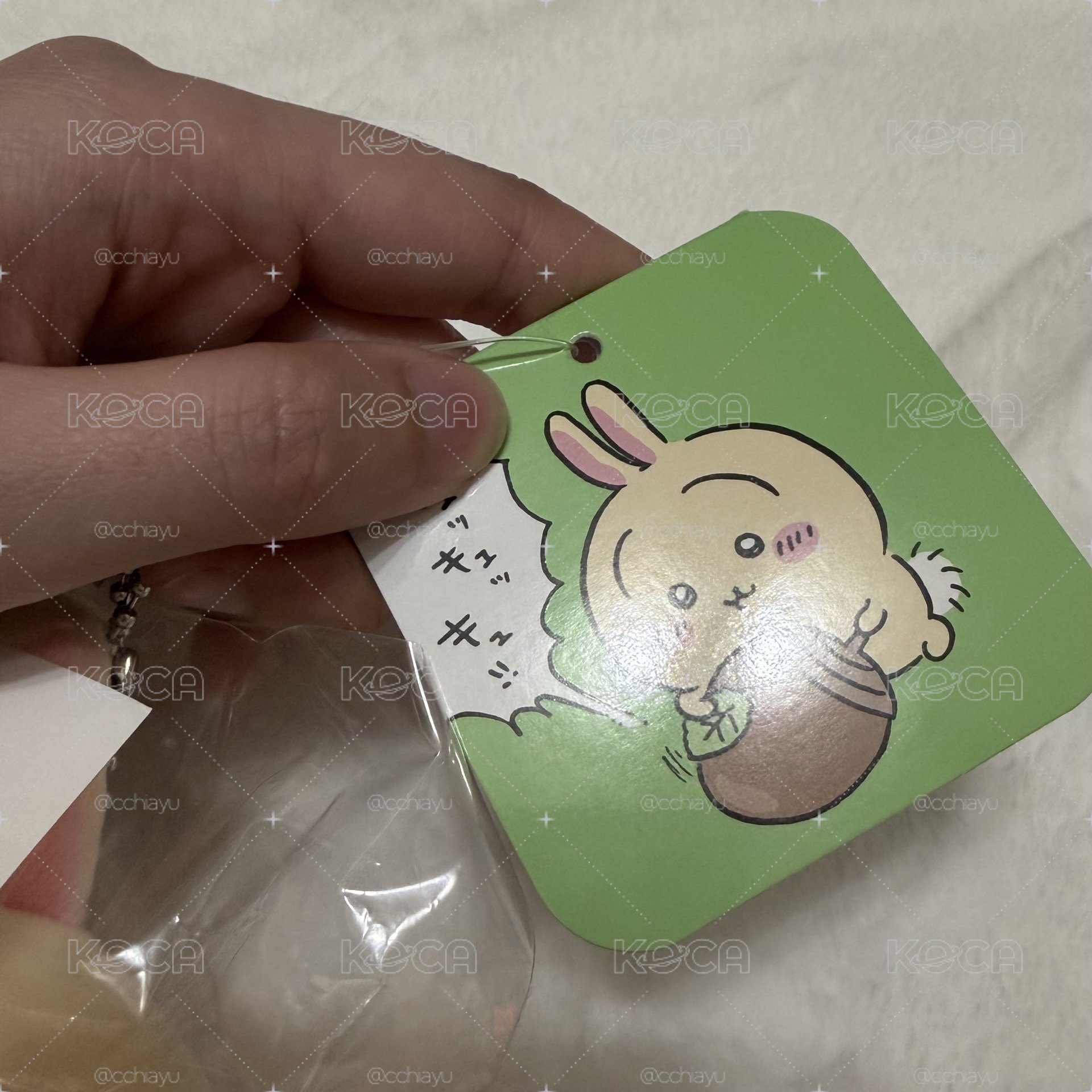 橡果兔