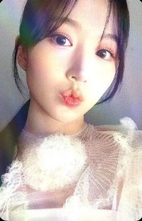 ENTWURF wm 特典卡 