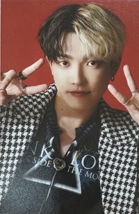 S Cawaii RED 雜誌卡 A