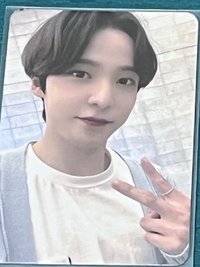 溫柔毛衣大狗狗