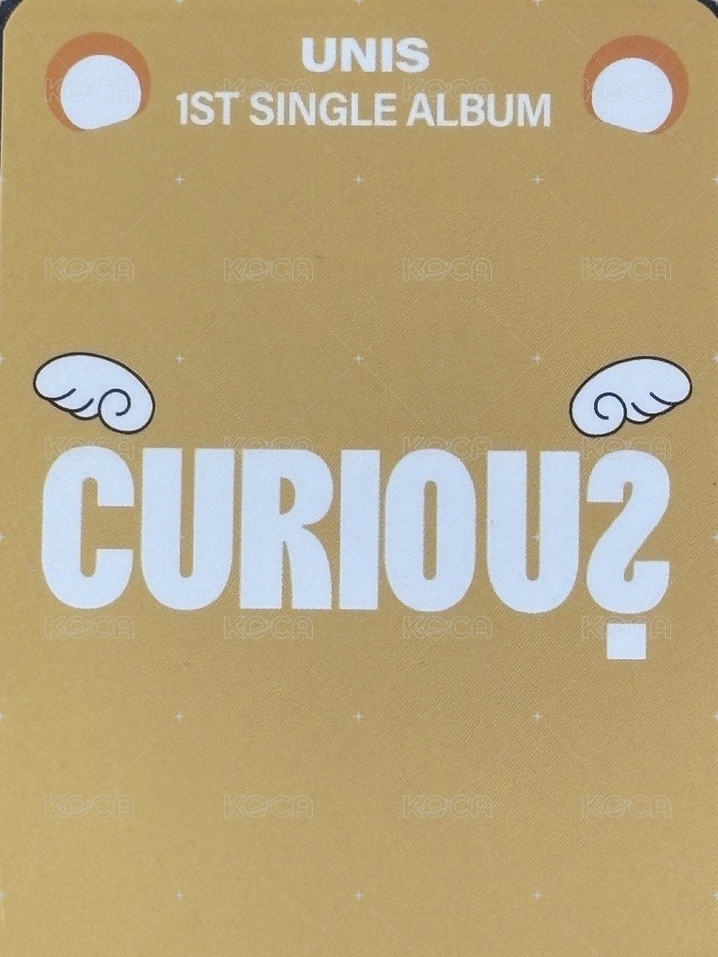 CURIOUS ju 特典卡 JP3.0 背面