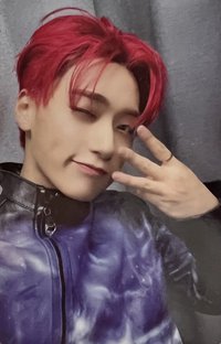 Will hello82 EU 特典卡 WHISKERS ver.